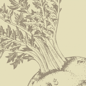 Boost NSP NSP, Modell 1121 | Bild Nr. 1