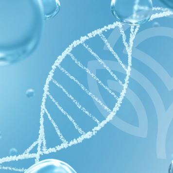 Kollagen NSP plus (180 gr) NSP, Modell 22721 | Bild Nr. 1