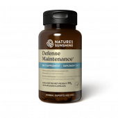 Instandhaltung von Verteidigungsanlagen NSP Instandhaltung von Verteidigungsanlagen NSP