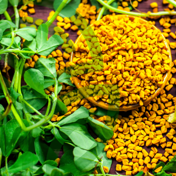 Fenugreek & Thyme NSP Fenugreek & Thyme NSP NSP, Modell 885 | Bild Nr. 1