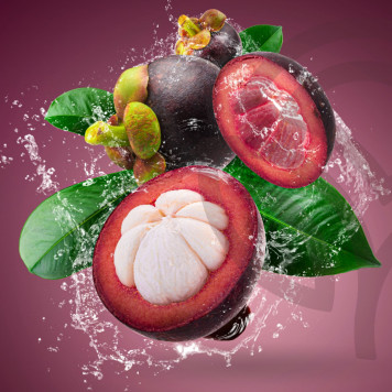 Zambroza NSP NSP, Modell 4104 | Bild Nr. 2