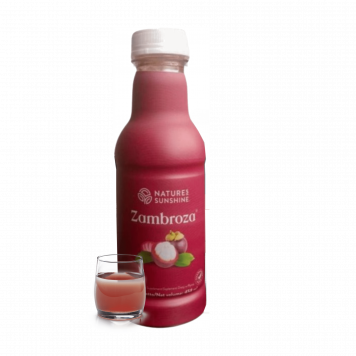 Zambroza NSP NSP, Modell 4104 | Bild Nr. 1