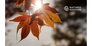 Stoffwechsel-Upgrade im Herbst: Welche Nahrungsergänzungsmittel helfen, den Stoffwechsel zu beschleunigen? Stoffwechsel-Upgrade im Herbst: Welche Nahrungsergänzungsmittel helfen, den Stoffwechsel zu beschleunigen?