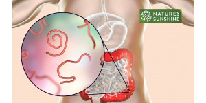 Wie man Parasiten und Candidose sicher und natürlich bekämpft: das NSP-Programm
