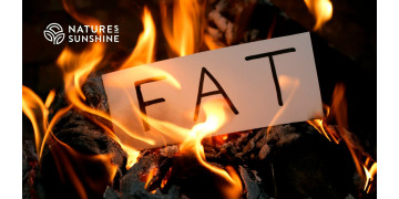 Wozu braucht der Körper Fett? Die Rolle des Fettgewebes bei der toxikologischen Abwehr