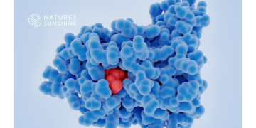 Ein ernährungswissenschaftlicher Ansatz zur Krebsheilung: Wie man den Körper mit NSP unterstützt Ein ernährungswissenschaftlicher Ansatz zur Krebsheilung: Wie man den Körper mit NSP unterstützt