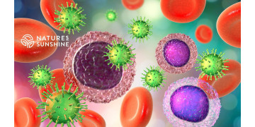 Wie man die Immunität im Sommer stärkt: natürliche Lösungen von NSP Wie man die Immunität im Sommer stärkt: natürliche Lösungen von NSP