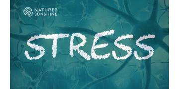 Stress und das Nervensystem: Wie man dem Körper hilft, sich anzupassen und zu erholen Stress und das Nervensystem: Wie man dem Körper hilft, sich anzupassen und zu erholen