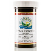 Rote Himbeere Rote Himbeere