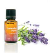 Essential Oil - Lavender Essential Oil - Lavender